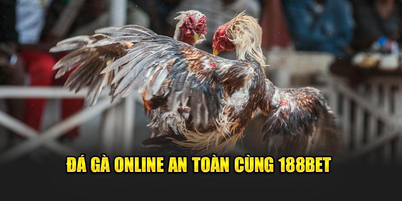 Đá gà online an toàn cùng 188Bet